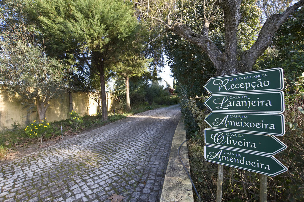 Quinta Da Cabrita Villa Santarém Eksteriør bilde