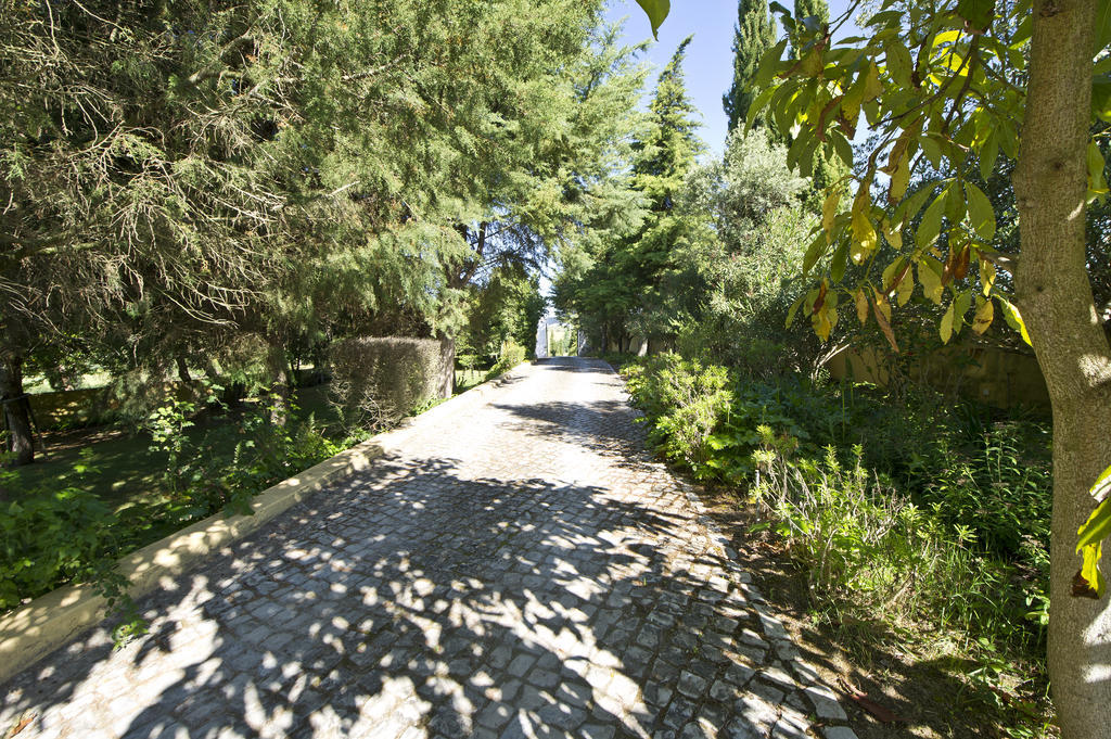 Quinta Da Cabrita Villa Santarém Eksteriør bilde