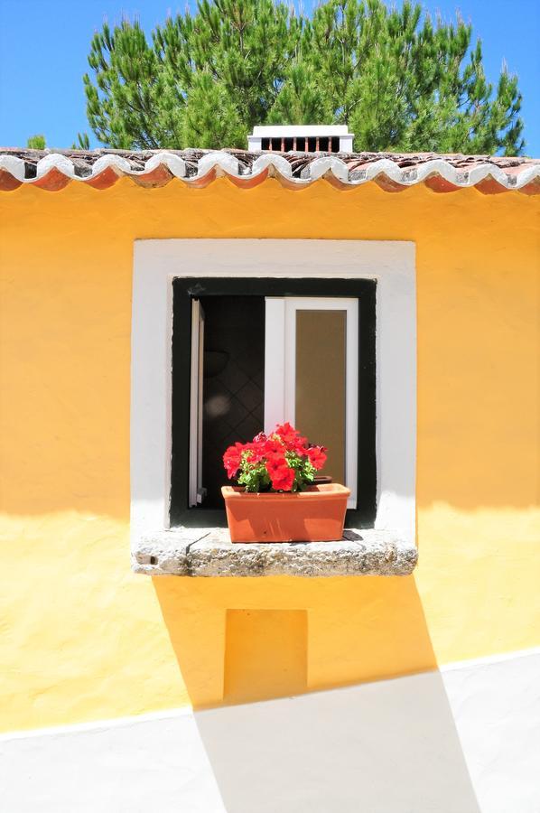 Quinta Da Cabrita Villa Santarém Eksteriør bilde